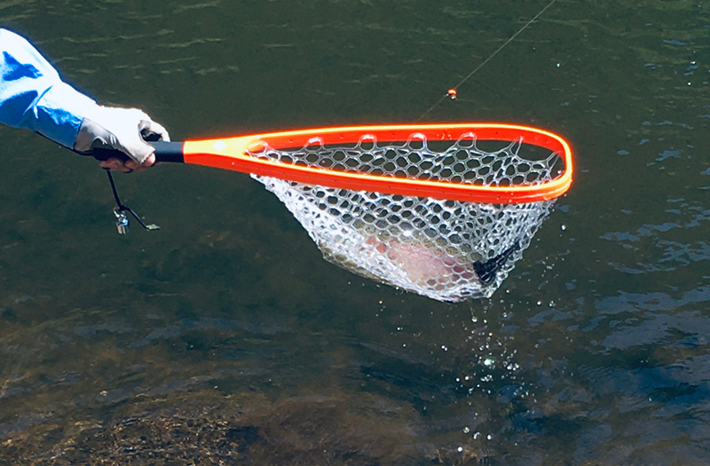Fire Carbon Landing Net - Ames Fly Fishing
